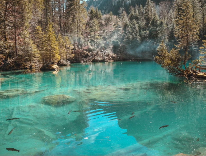 1653700469676832.jpg 4.jpg