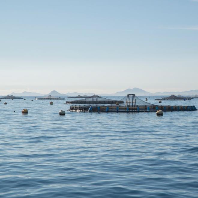 1656056925221507.jpg 養(yǎng)殖.jpg