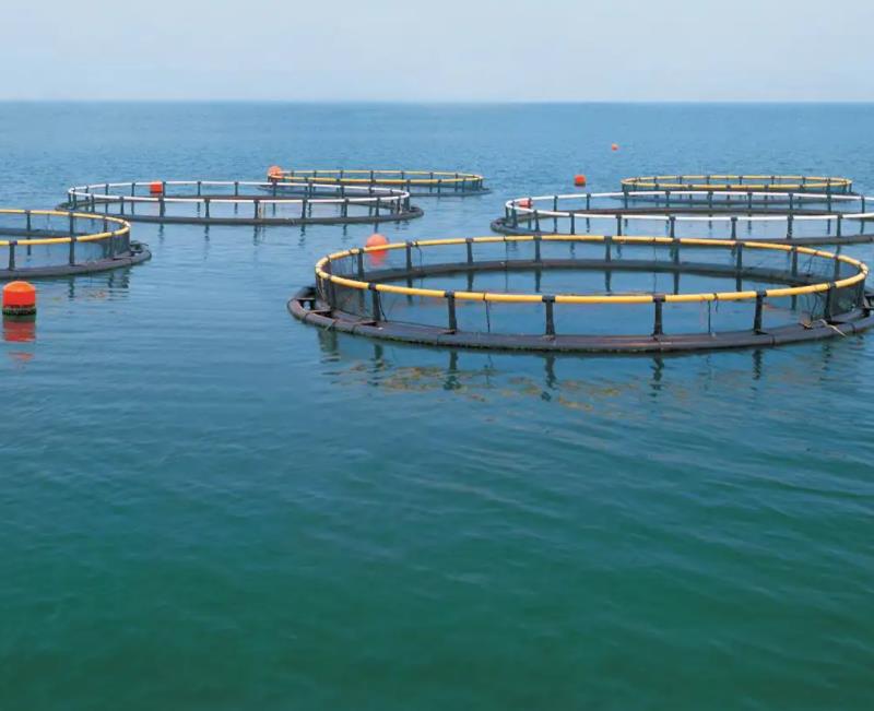 1657267406751850.jpg 養(yǎng)殖1.jpg