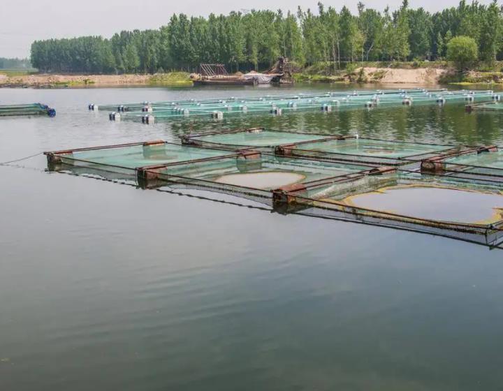 1676424380480266.jpg 水產(chǎn)養(yǎng)殖.jpg