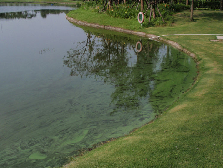 1684915916257816.png 渾濁.png