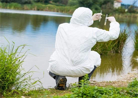 1733540921838382.jpeg faf9b16cb84c18b72e0d42d8b8202150_1733540135258828.jpeg