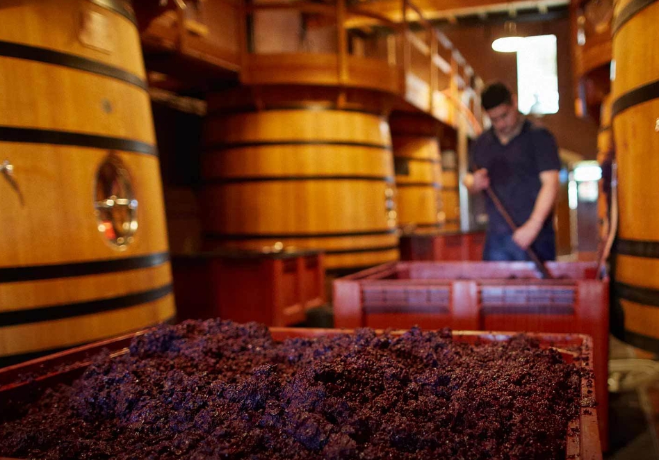 1757654422899874.png 1757654422899874.png