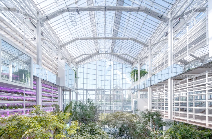 1760063630302330.png 垂直農(nóng)村.png