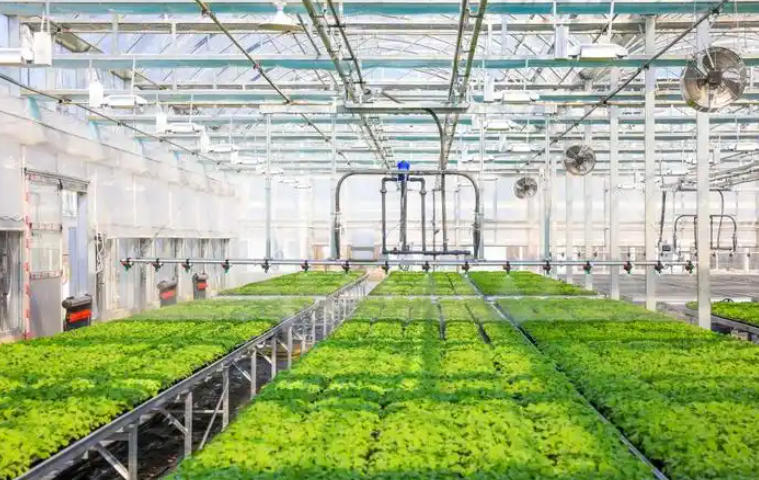 1763001502755035.jpg 育苗基質(zhì)廠.jpg